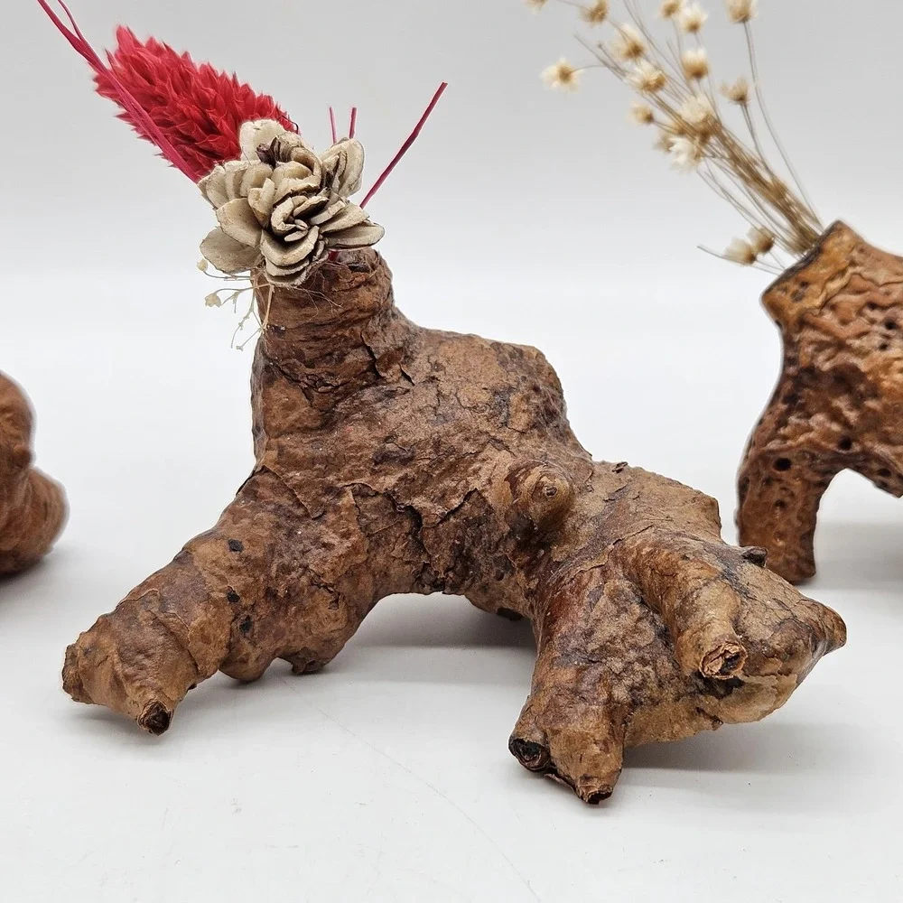 Southwestern Natural Arizona Saguaro Cactus Skeleton Knot Bud Vases Lot of 3